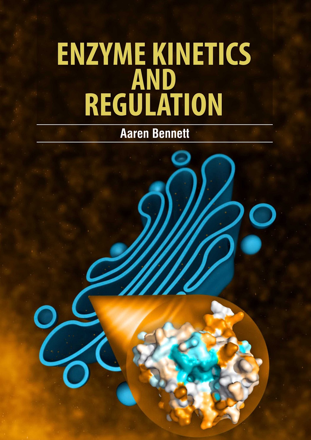 Enzyme Kinetics and Regulation